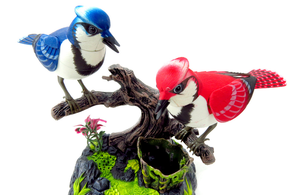 Singing & Chirping Birds - Realistic Sounds & Movements (Blue Jays) BC513AB