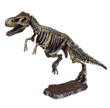 Load image into Gallery viewer, Dinosaur Excavations Kits – Unearth 3D Dinosaur Bones - T-Rex