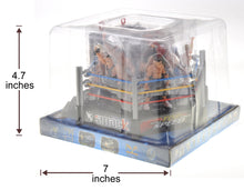 Load image into Gallery viewer, Wrestling Toy Figure Play Set With Ring