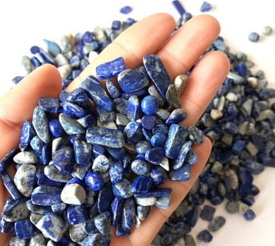 Lapis Lazuli Tumbled Chips Stone (1 Pound)