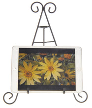 Load image into Gallery viewer, 12&quot; Tall Black Iron Display Stand Holds