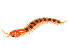 Load image into Gallery viewer, RC-Creatures-Remote-Control-Infrared-Centipede2